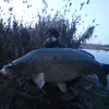 Chris Henschel - @henschel_chris1610 - TikTok