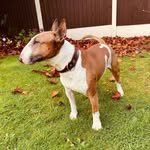 Chris Henshall - @chrishenshall - Instagram
