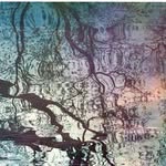 Chris Hester - @chris__hester - Instagram