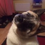 Chris Hibberd - @hibberd.chris - Instagram