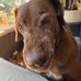 Chris Hibberd - Facebook