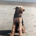 Chris Hickson - Facebook