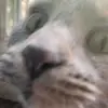 Chris - @chris2high420 - TikTok