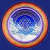 Chris Hiler - @chris.hiler - TikTok