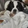 chrischiles - @chris.chiles7 - TikTok