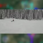 Chris Hindermann - @chrishindermann - Instagram