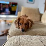 Chris Hindle - @hindlechris - Instagram