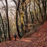 Christopher Hipwell - @hipwellchristopher - Instagram