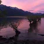 Chris Hird - @chrishird74 - Instagram