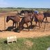 Chris Hires - Facebook
