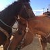 Christine Hitz - Facebook