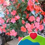 Chris Hizey - Facebook