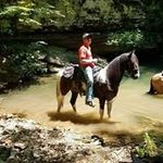 Chris Hobbs - @chris.hobbs.31 - Instagram