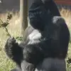 Chris Hobson - @chris.hobson5 - TikTok