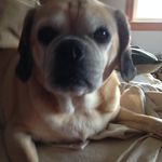 Lily Peaches - @chrishoctor - Instagram