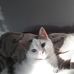 Christian Hodapp - Facebook