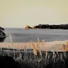 Chris Hodgetts - @chris.hodgetts - TikTok