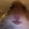 user2714859382146 - @chrishodgetts12 - TikTok