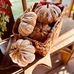 Christina Hoeffel - @doughsidough.sourdoughbreads - Instagram