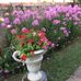 Christiane Hoefler-rinaldi - Facebook