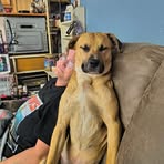 Chris Hoeflinger - Facebook