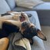 Chris Hoekstra - Facebook
