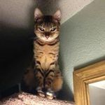 Chris Hoekstra - @hoekstrac - Instagram