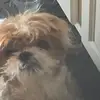 christianhoffer68 - @christianhoffer68 - TikTok