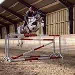 Chris Hoffmann - @c.hoffmann_showjumping - Instagram