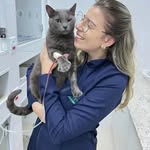 Chris L. Hoffmann Sofiste - @chrishoffmann2 - Instagram