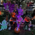 Christine Hoffmeyer - @clhorsepower - Instagram