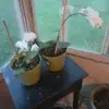 Christy Hoffmeyer Delaney - @christy.hoffmeyer - TikTok