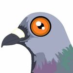 Christian Hoffpauir - @pigeondud - Instagram
