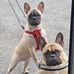Chrissie Hogsett - Facebook