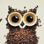 Chris Hohmann - @chrishohmann77 - Instagram