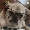 Chris Hohmann - @chris.hohmann - TikTok