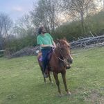 Chris Holbert - @chris.holbert - Instagram
