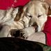 Chris Holdren - Facebook