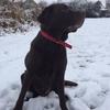 Chris Holl - @chris.holl0 - TikTok