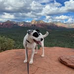 Chris Hollar - @chris_hollar_ - Instagram