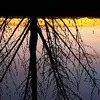 chris holler - @bigbadfish - TikTok