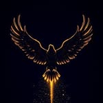 ĆĦŘƗŞ ĦØŁŁ¥ŴØØĐ 🦅✨🎶 - @chris__hollywood - Instagram