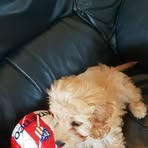 Chris Hollywood - Facebook