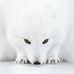 Chris Holm - Facebook