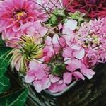 Christa Bonn-Hölscher - @christabonnholscher - Instagram