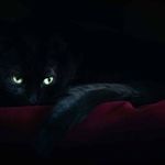 chris - @chrisholstein10 - Instagram