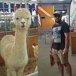 Chris Holton - @chris_holton06 - Instagram
