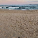 Chris Honan - @they.hate.stella - Instagram