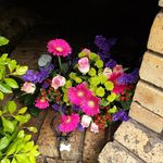 Chris horsley - @horsley109 - Instagram