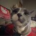 Chris Horsley - Facebook